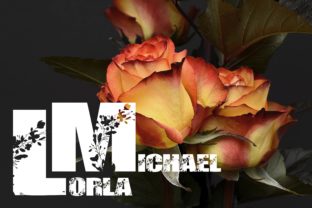Lorla Michael: A Romantic Decorative Font for Makers